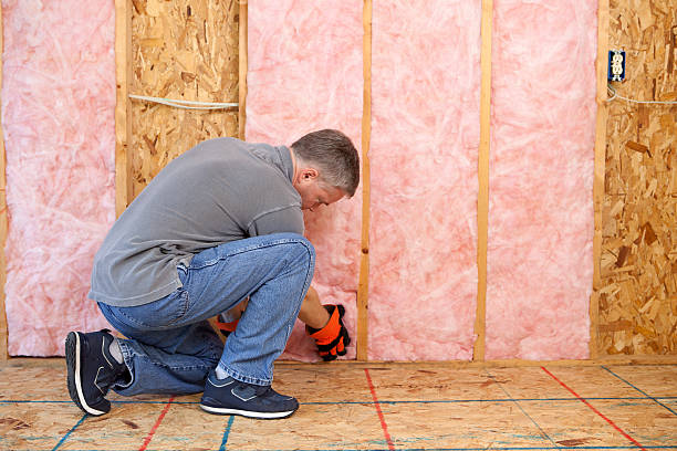 Best Blown-in Insulation  in Badger, AK